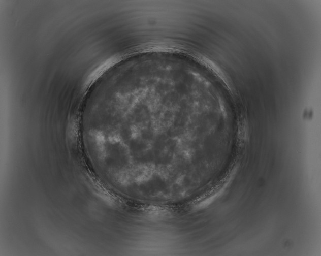 X0000090910874200708271002