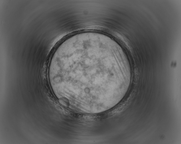 X0000090910875200708271002