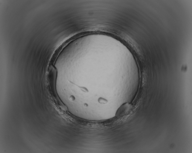 X0000090910876200708271002