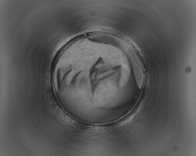 X0000090910877200708271002