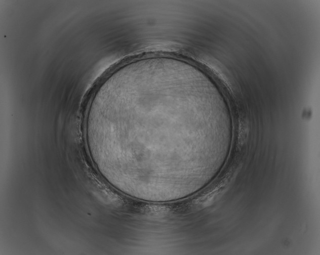 X0000090910878200708271002