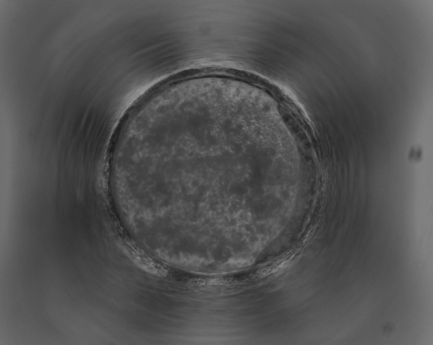 X0000090910879200708271002