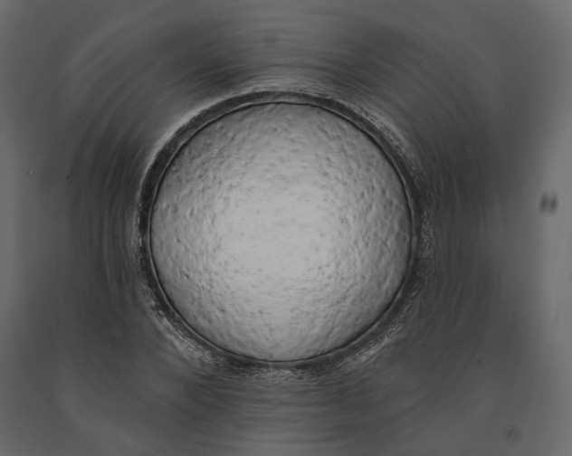 X0000090910880200708271002