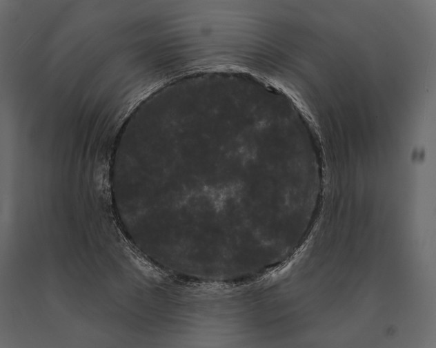 X0000090910881200708271002