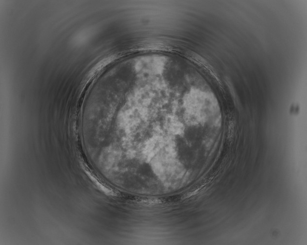 X0000090910882200708271002