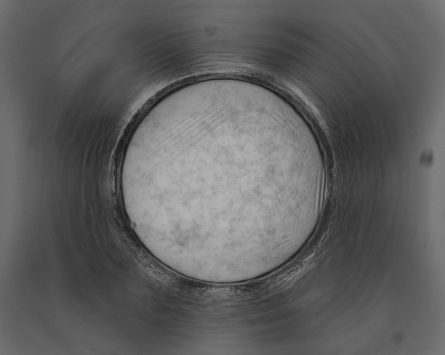 X0000090910883200708271002