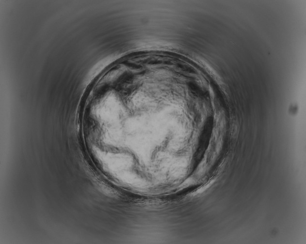 X0000090910885200708271002