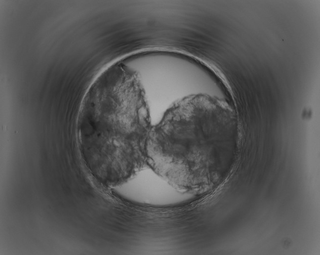 X0000090910887200708271002