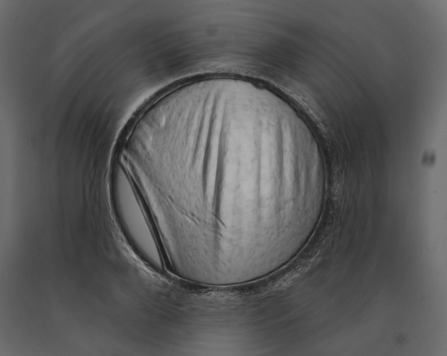 X0000090910888200708271002