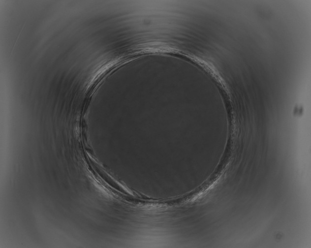 X0000090910889200708271002