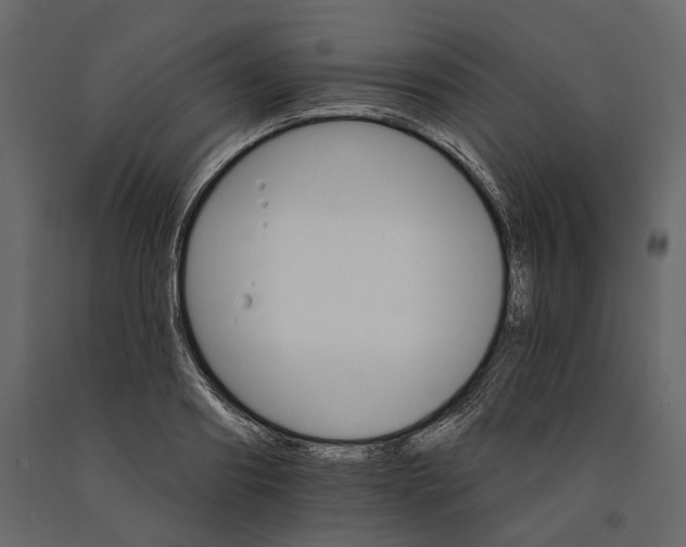 X0000090910890200708271002