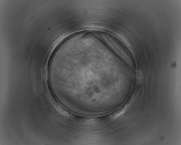 X0000090910891200708271002