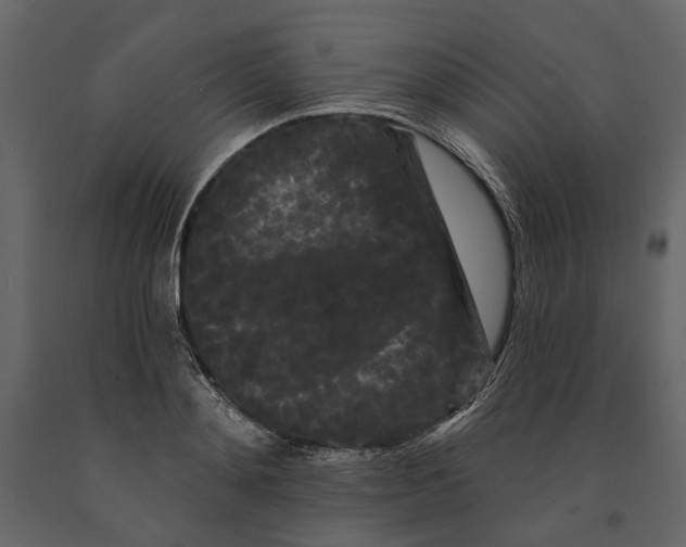 X0000090910892200708271002