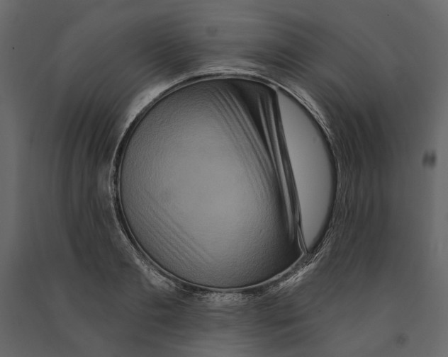 X0000090910893200708271002