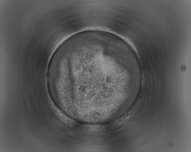 X0000090910895200708271002