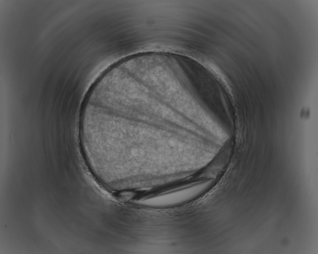 X0000090910896200708271002