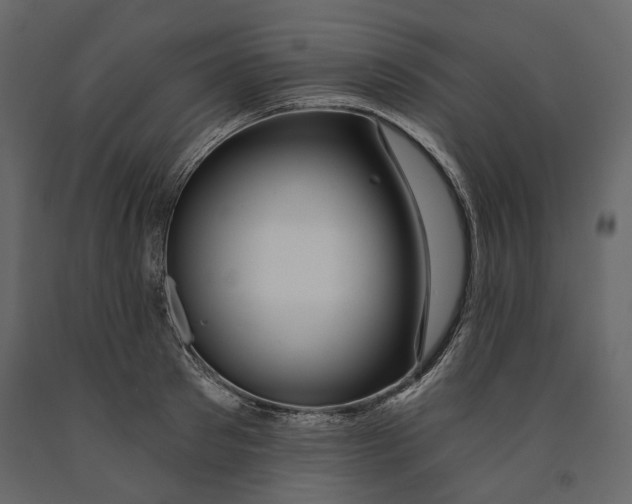 X0000090910897200708271002