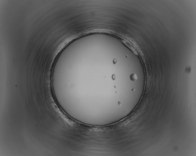 X0000090910898200708271002