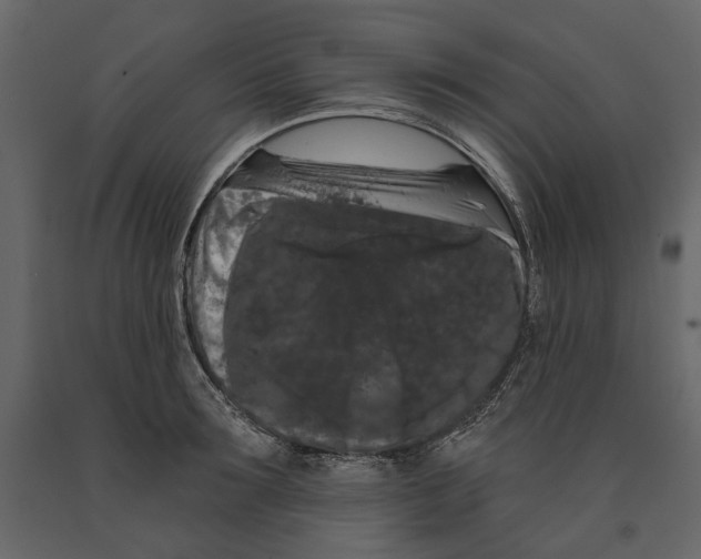 X0000090910899200708271002