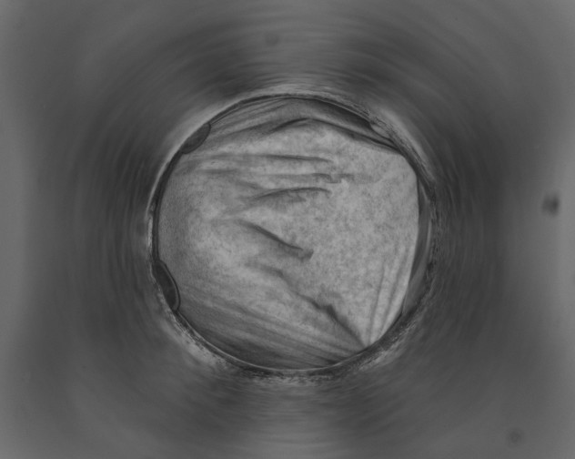 X0000090910900200708271002