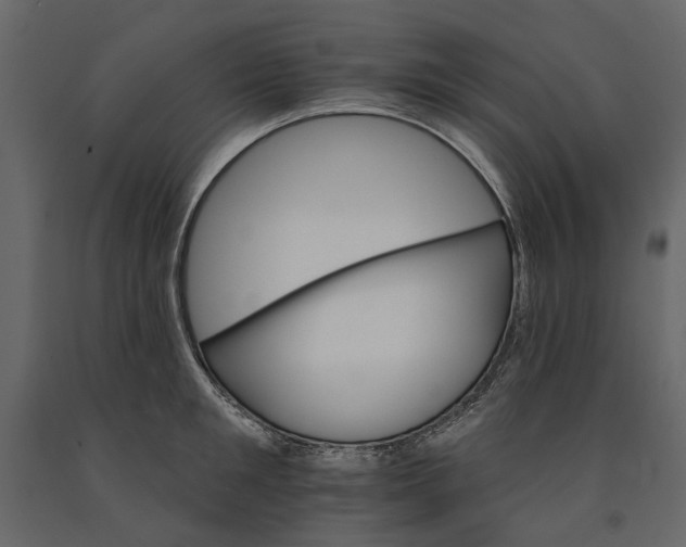 X0000090910901200708271002