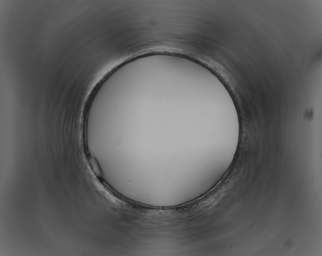 X0000090910902200708271002