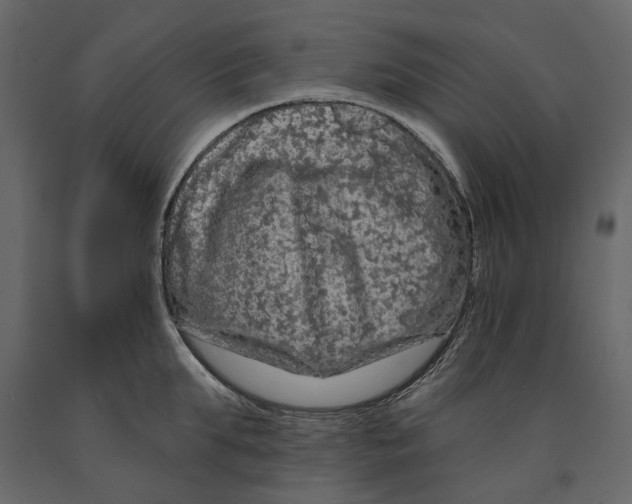 X0000090910903200708271002