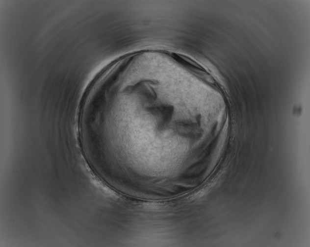 X0000090910904200708271002