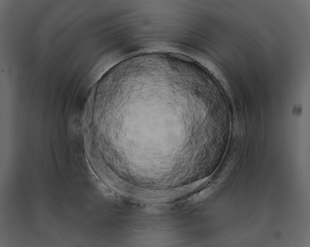 X0000090910905200708271002