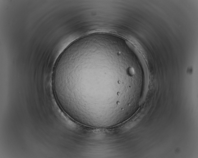 X0000090910906200708271002