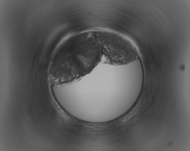 X0000090910907200708271002