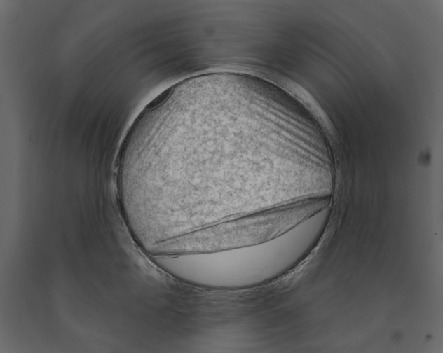 X0000090910908200708271002