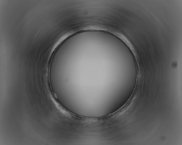 X0000090910909200708271002