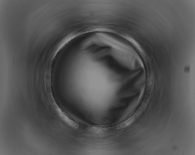 X0000090910910200708271002