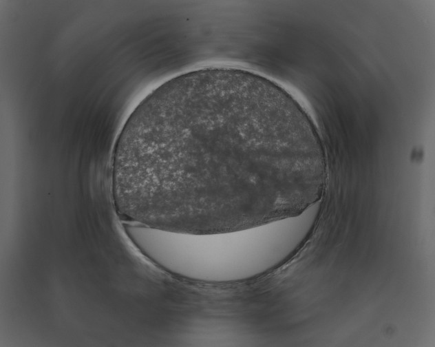 X0000090910911200708271002