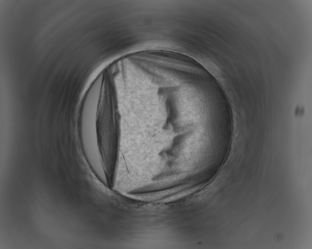 X0000090910912200708271002