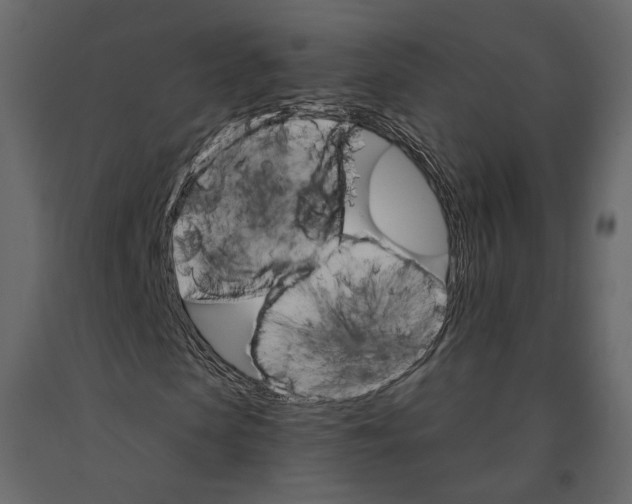 X0000090910913200708271001