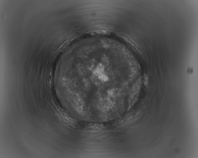 X0000090910915200708271001