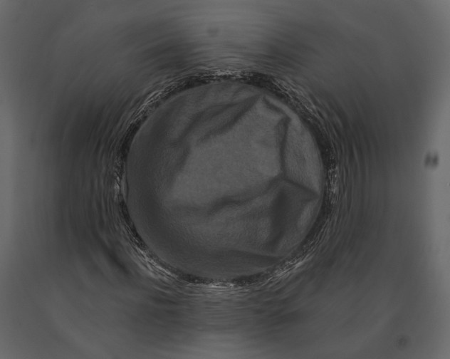 X0000090910916200708271001