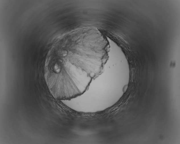 X0000090910917200708271001