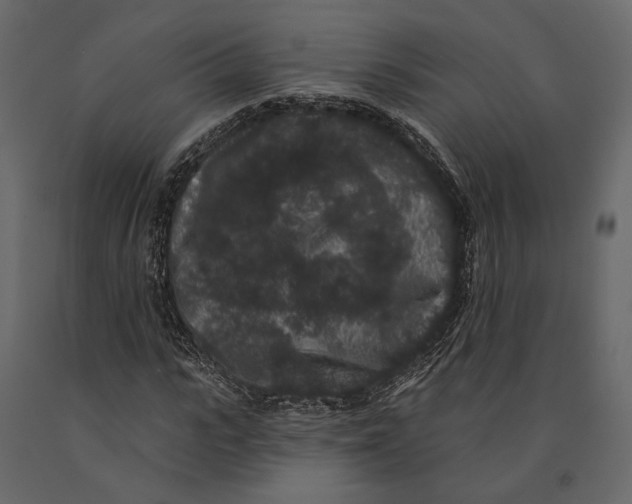 X0000090910919200708271001