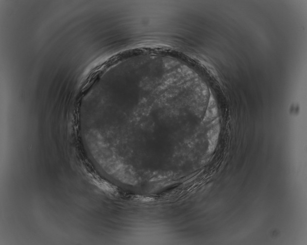 X0000090910920200708271002