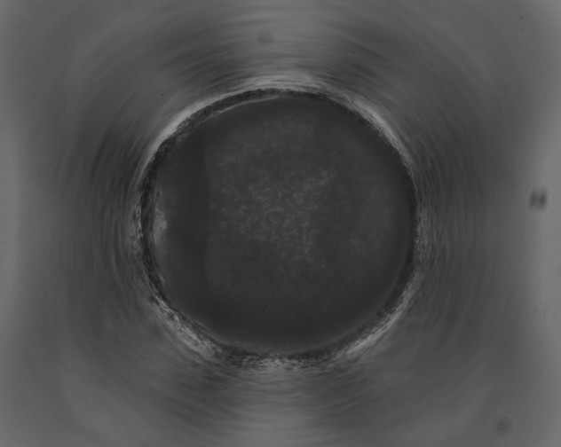 X0000090910923200708271002