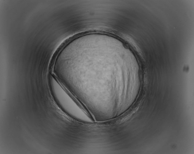 X0000090910924200708271002