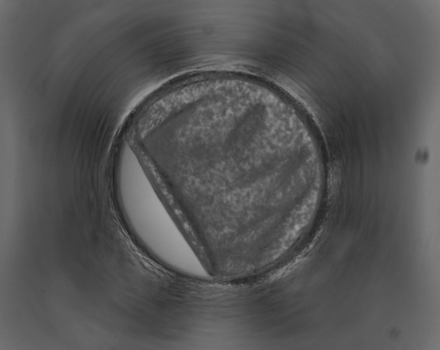 X0000090910925200708271002