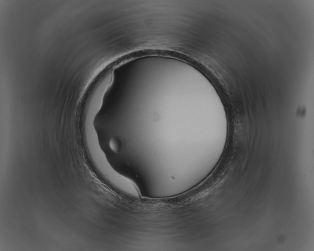 X0000090910926200708271002