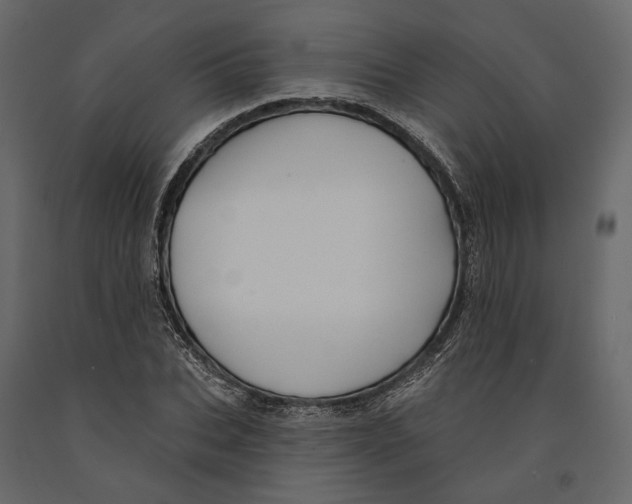 X0000090910927200708271002