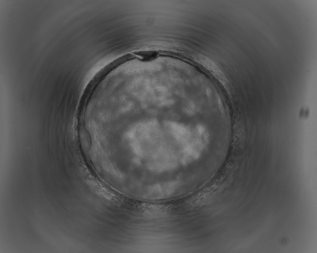 X0000090910928200708271002