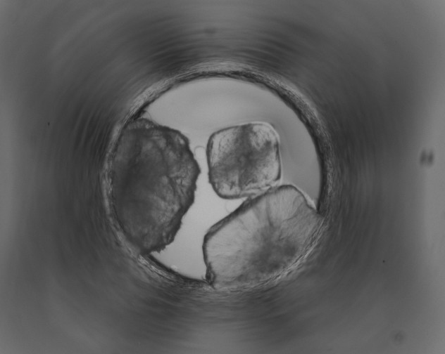 X0000090910929200708271002