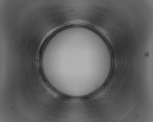 X0000090910931200708271002